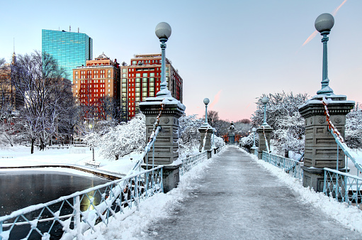 The Public Garden, also known as Boston Public Garden, is a large park in the heart of Boston, Massachusetts, adjacent to Boston Common.