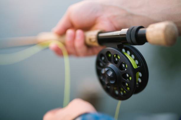 istock Fishing rod in hand angling 1048932266