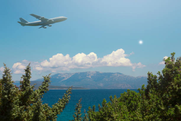 look of an airplane flying over a coast city among trees