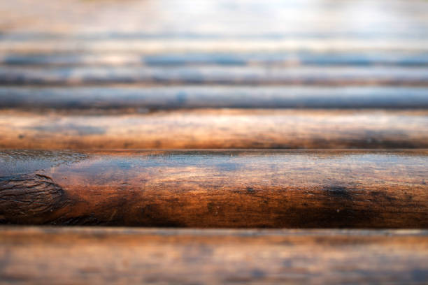 Wood texture. The surface of the logs, traditional style, hardwood construction