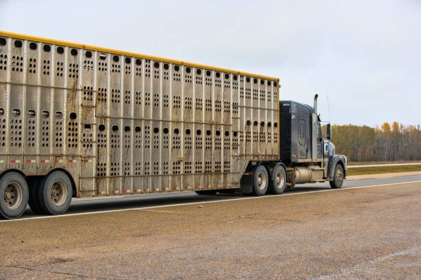 istock Heavy Cargo on the Road 1048947432