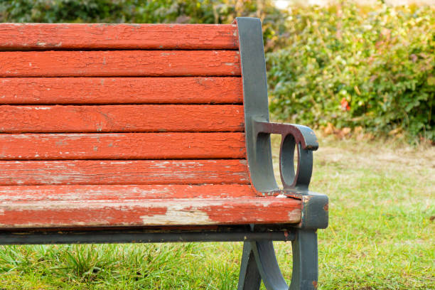 Wooden bench at pubic park in summer season
