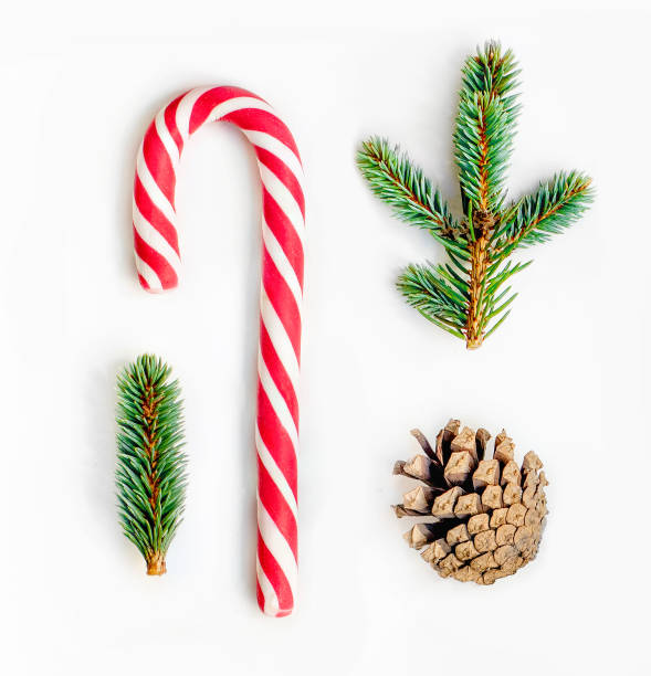 istock Christmas card  with fir tree branches, pine cone  and Christmas Candy cane  on white background.  Flat lay. Top view 1048958950