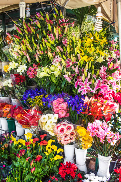 istock Various flowers and plants in a small Flower shop 1048959670