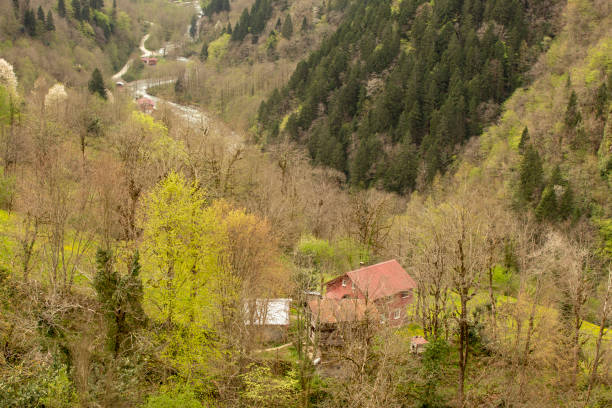 istock Rize ikizdere village houses. 1048962330