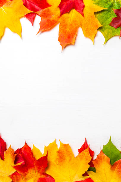 istock Autumn frame composition made of falling  autumn leaves on white background with Copy space.  Flat lay, top view