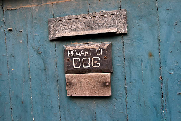 istock Beware of the dog 104897088