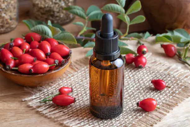 A bottle of rosehip seed oil with fresh rosehips on a table