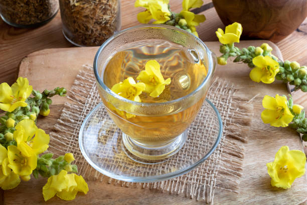 istock A cup of mullein tea with fresh mullein 1048973792