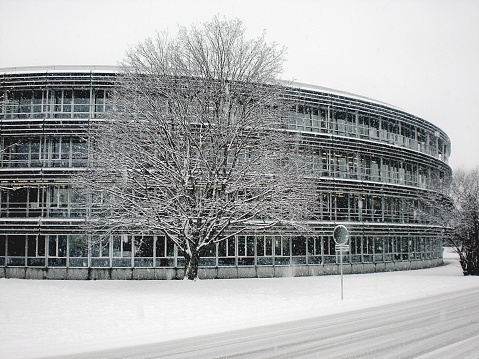 modern building and tree in winter