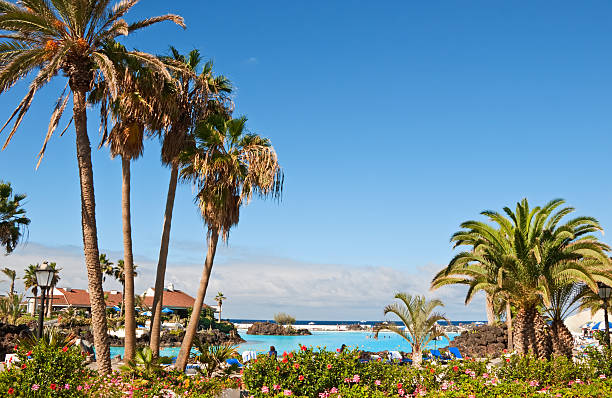 istock Martianez Lake 104897688