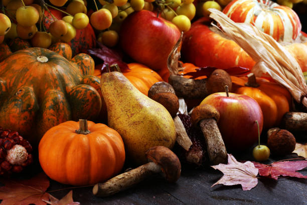 istock Autumn nature concept. Fall fruit and vegetables on wood. Thanksgiving dinner. Pears and pumpkin with sunflowers and apples. 1048982184