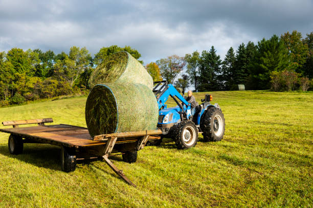 A farmer on a tractor loading hay bales on a trailer in a field