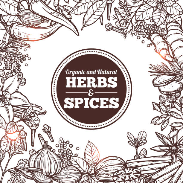 Hand Drawn Background With Sketch Herbs And Spices Hand Drawn Background With Sketch Herbs And Spices cinnamon stick spice food stock illustrations