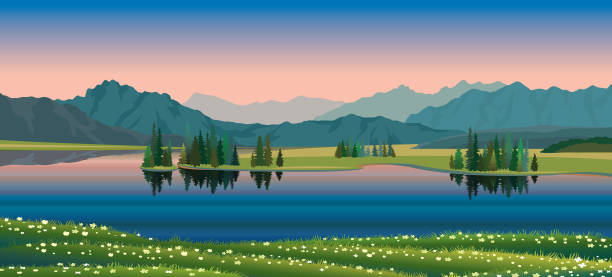 Summer landscape - lake, forest, mountain,flowers Summer vector landscape with green forest, calm lake, blooming flowers and mountains on a sunset sky. Nature illustration. lake illustrations stock illustrations