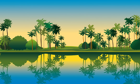 Tropical landscape with palm trees, calm lake and sunrise sky. Vector nature illustration. Summer landscape.