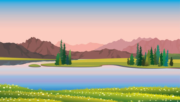 ilustrações de stock, clip art, desenhos animados e ícones de summer landscape - lake, forest, mountain,flowers - lake forest landscape silhouette