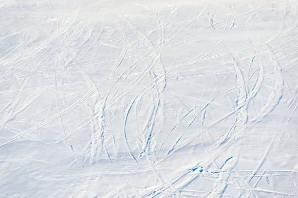 istock Winter wonderland 1048987198