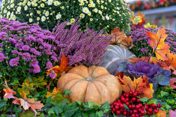istock Autumn composition with pumpkins, asters, berries and maple leaves. 1048995620