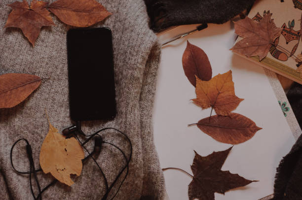 istock Autumn flatlay. Yellow leaves with black mobile phone, white notebook 1048995820