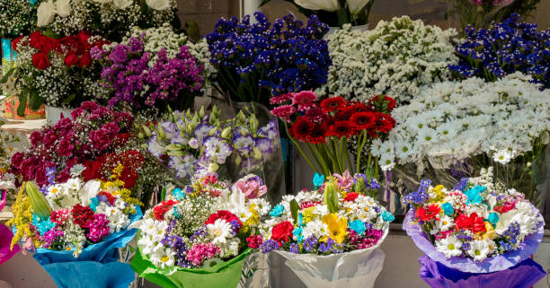 istock Beautiful flowers of various types 1048996008