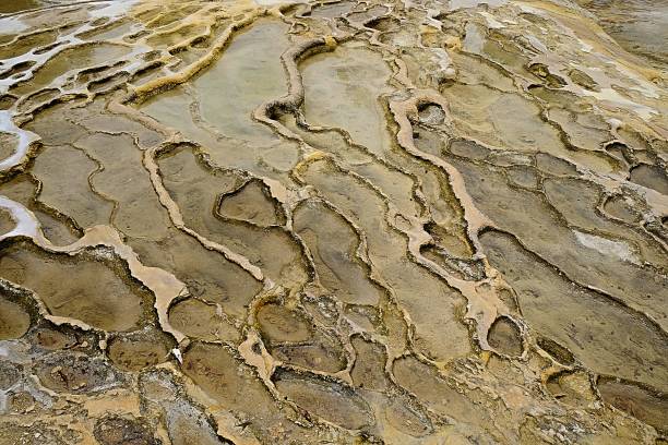 istock Mineral calcifications outdoors 1048996350