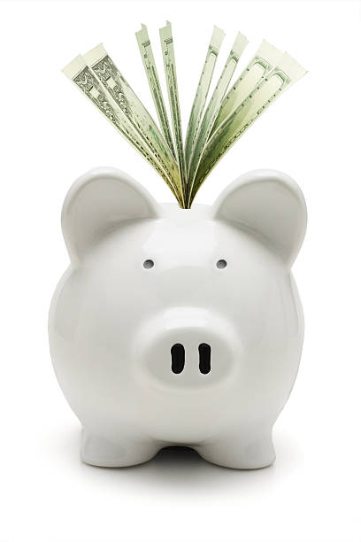istock Piggy bank and US dollars 104900131