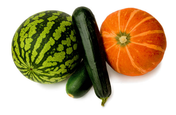 Ripened watermelon, zucchini and pumpkin on a white background