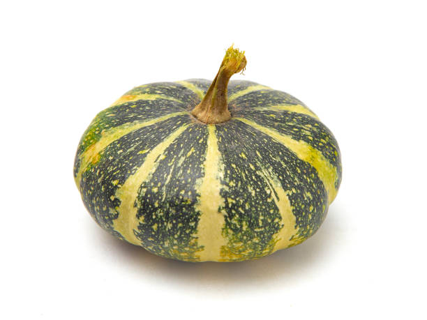 istock A Round Green and Yellow Gourd on a White Background 1049003490