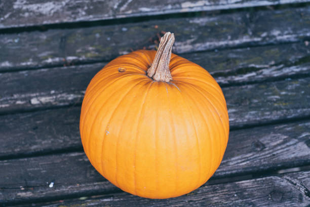 istock Pumpkin as a symbol of autumn 1049003754