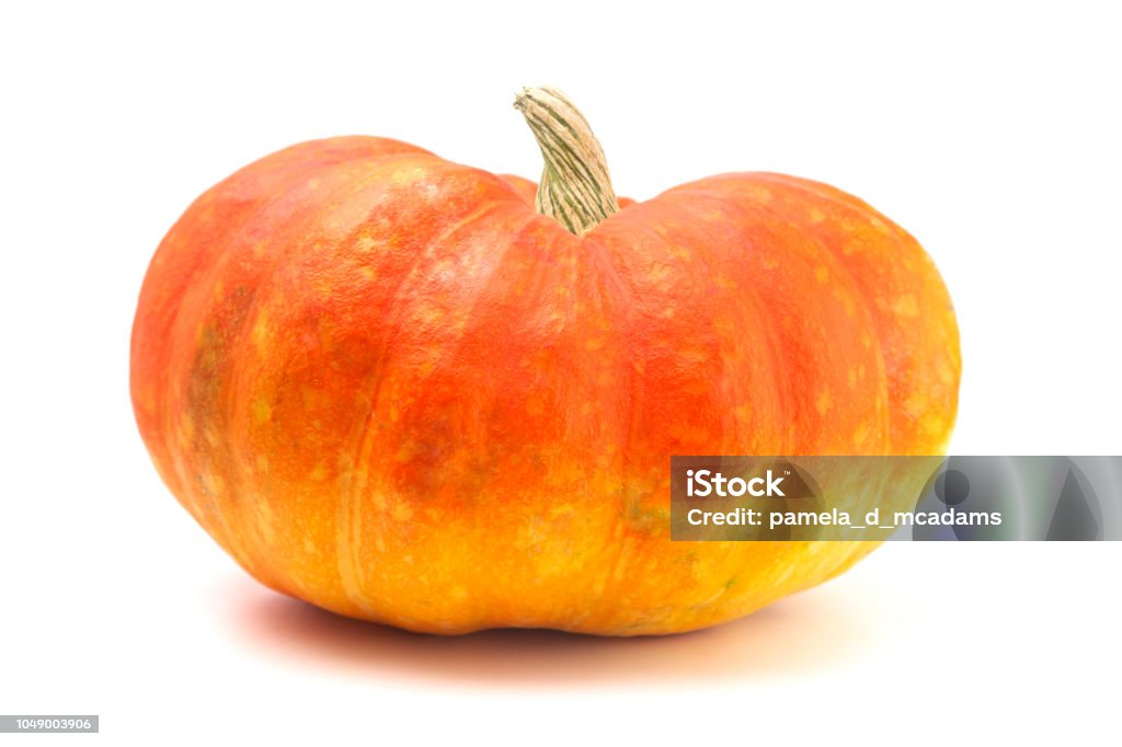 Red and Yellow Fairytale Pumpkin on a White Background Pumpkin Stock Photo