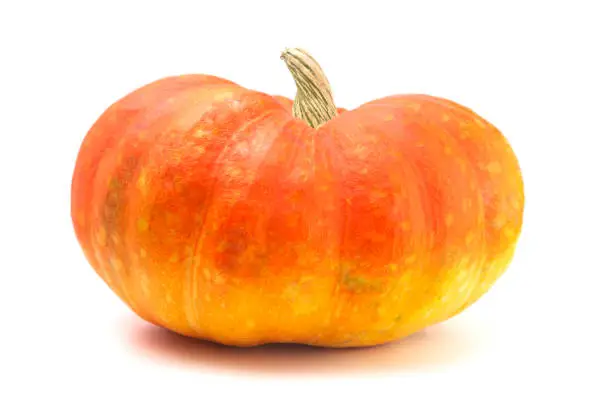 Red and Yellow Fairytale Pumpkin on a White Background
