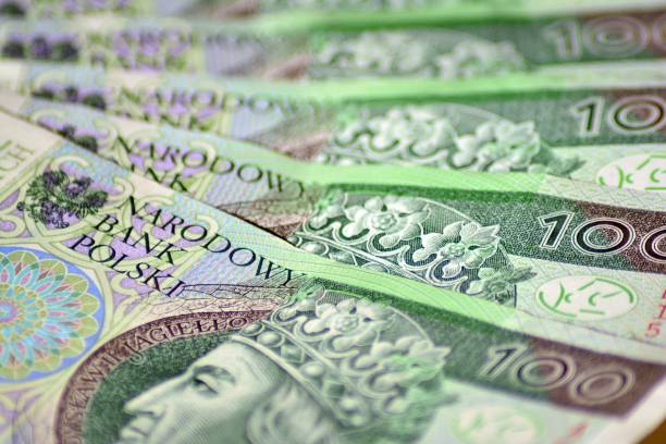 istock Background made from polish money banknotes 1049005460