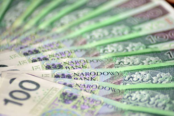 istock Background made from polish money banknotes 1049008172