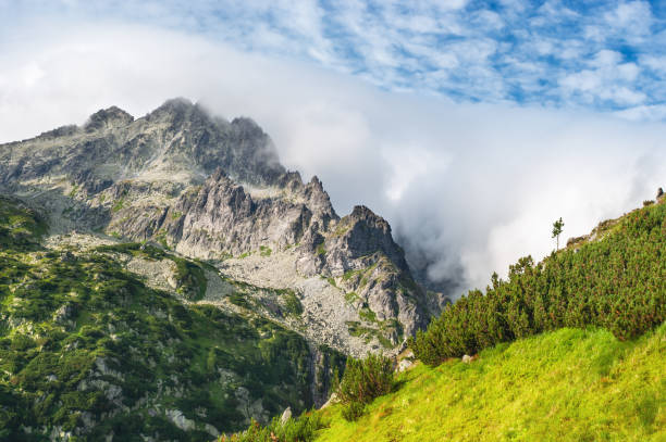 istock Mountain High Tatras National Park 1049008608