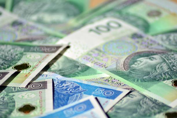 istock Background made from polish money banknotes 1049008802