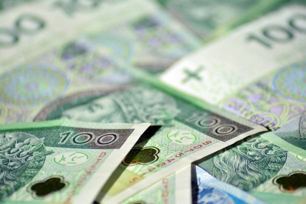 istock Background made from polish money banknotes 1049012154