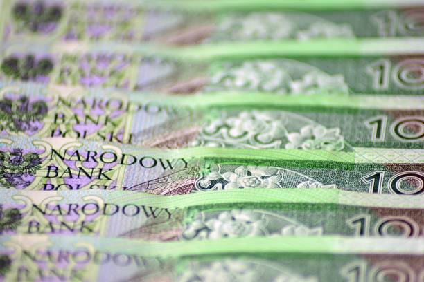 istock Background made from polish money banknotes 1049015240