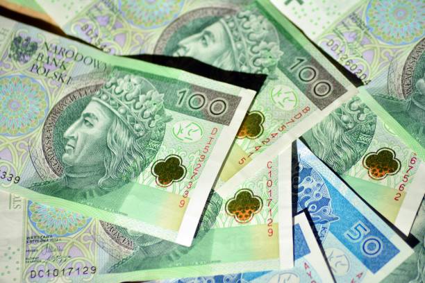 istock Background made from polish money banknotes 1049016164
