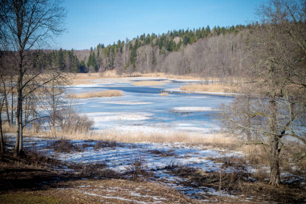 istock nature landscape with the lake 1049016664