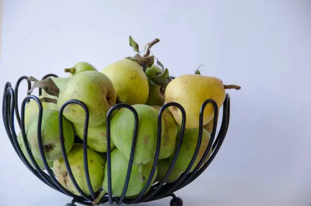 A group of handpicked pears during autumn in a decorative fruitbowl