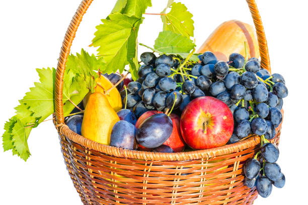 istock Basket with ripe fruit on a white background 1049023024