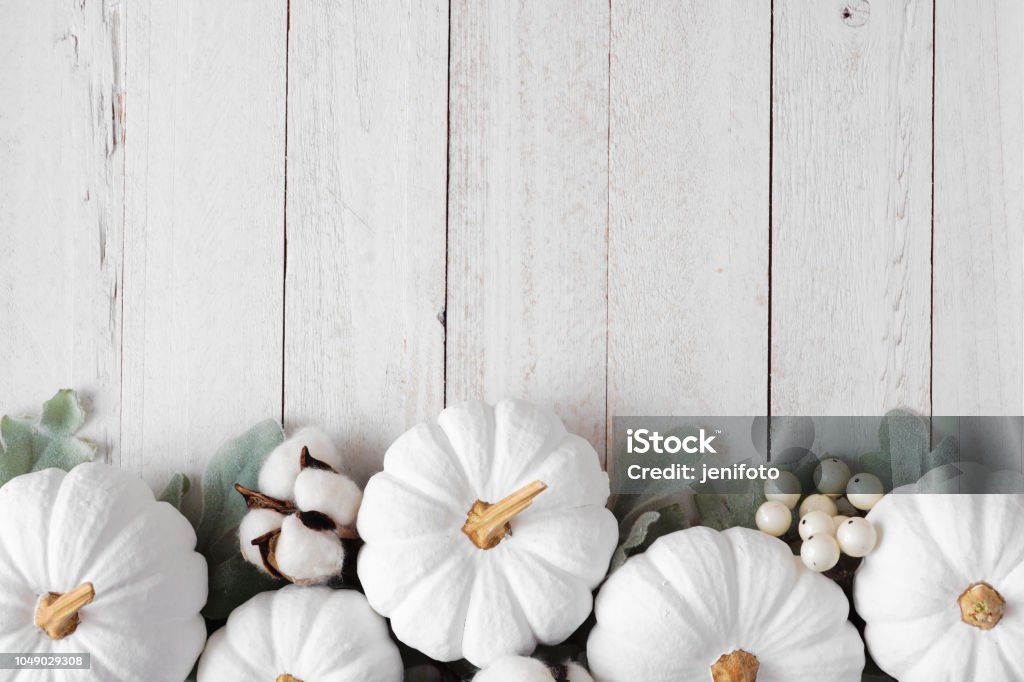 Outono borda inferior de abóboras brancas e folhas sobre madeira rústica branca - Foto de stock de Branco royalty-free