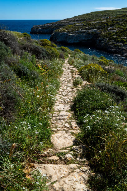 istock peaceful path with a stone walkway in Gozo Mgarr ix xini 1049033090