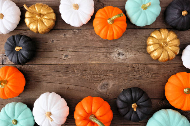 istock Autumn frame of various colorful pumpkins on rustic wood 1049033730