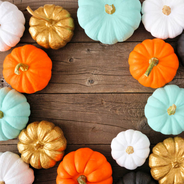 istock Autumn square frame of various colorful pumpkins on rustic wood 1049035514