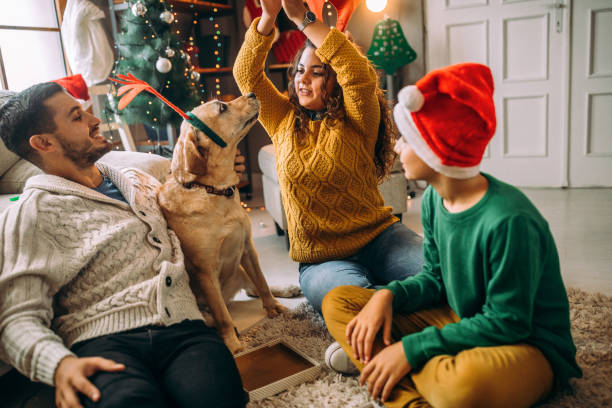 istock We love to play together 1049035680