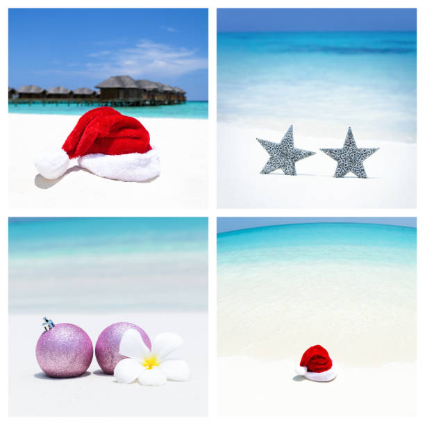 istock Tropical New Year collage 1049048640