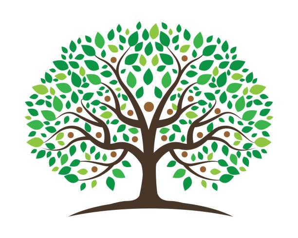 ilustraciones, imágenes clip art, dibujos animados e iconos de stock de diseño de icono de vector de árbol genealógico - árbol genealógico
