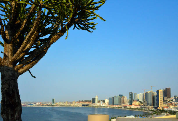 luanda bay - giant cactus and panorama of the waterfront avenue, avenida marginal / 4 de fevereiro - skyline, angola - baia de luanda imagens e fotografias de stock